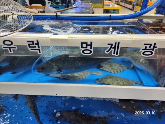 부광회 이미지