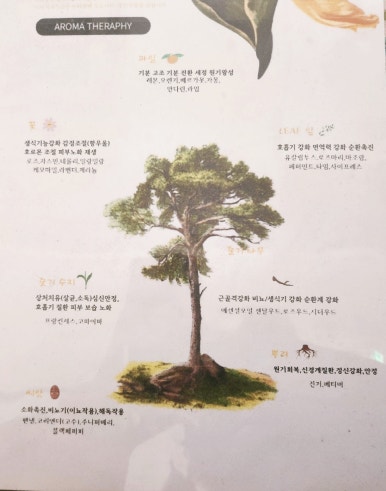 도테라오일클래스&티카페 이미지