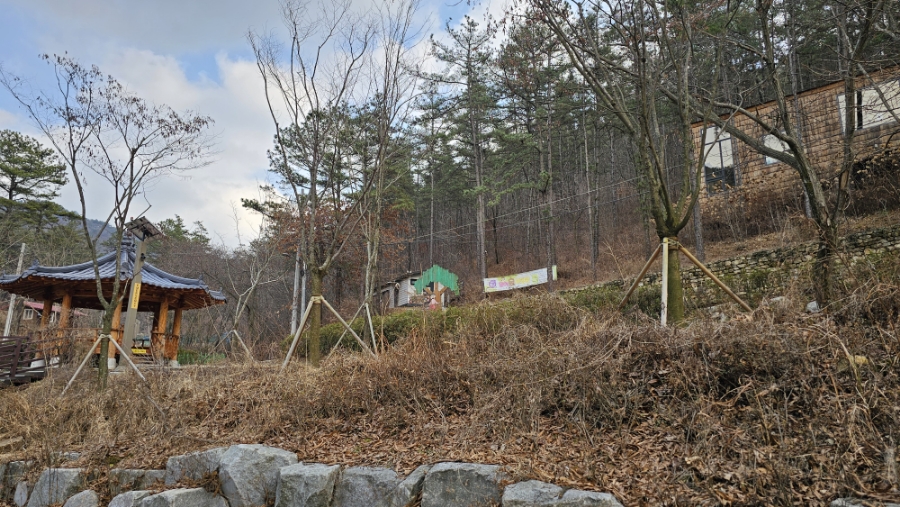 야호학산유아숲체험원 이미지
