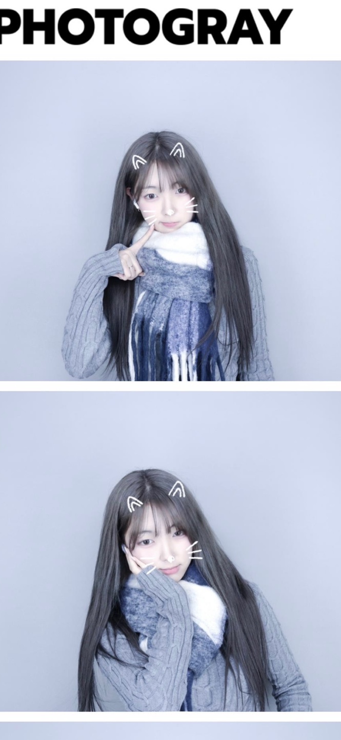 아라헤어 이미지