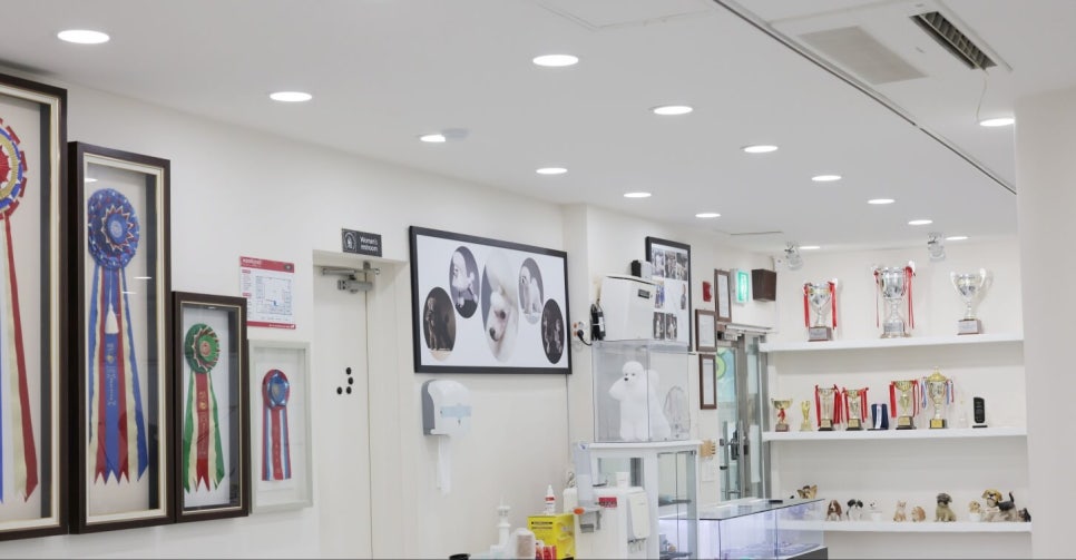 프로펫애견미용학원 이미지
