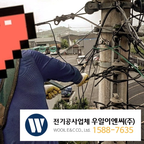 우일전기조명 이미지