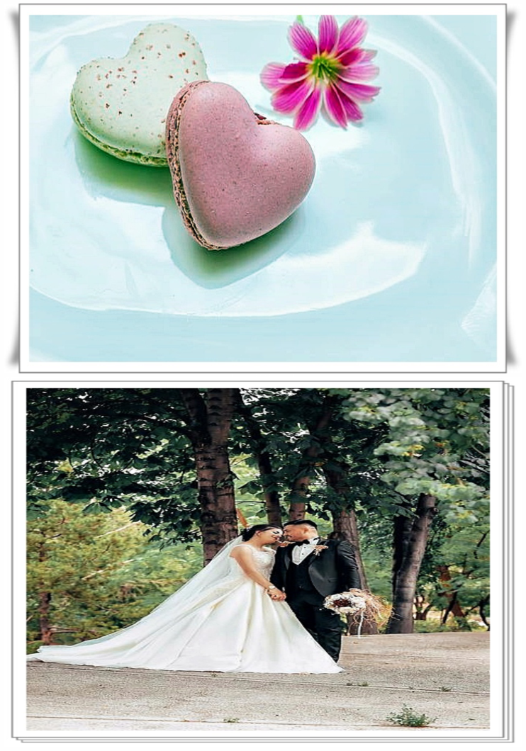 더나은여행사 이미지
