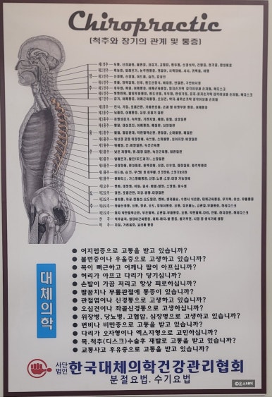 유약손신체교정 이미지