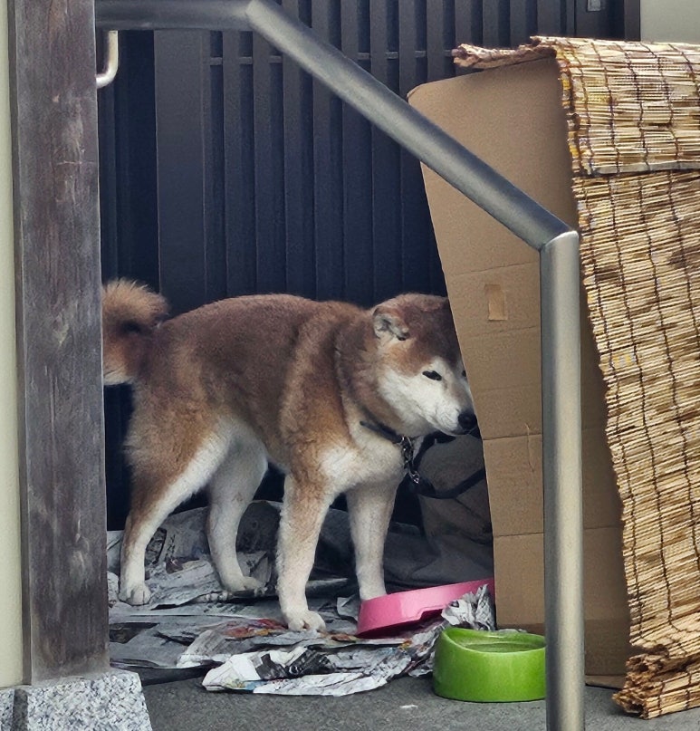 고쇼투어 이미지