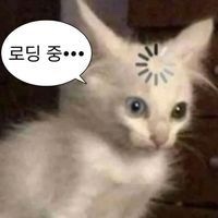 바로바로 이미지