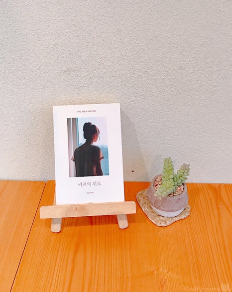 피엘피 이미지