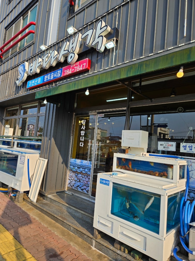 바다생각 사진 8