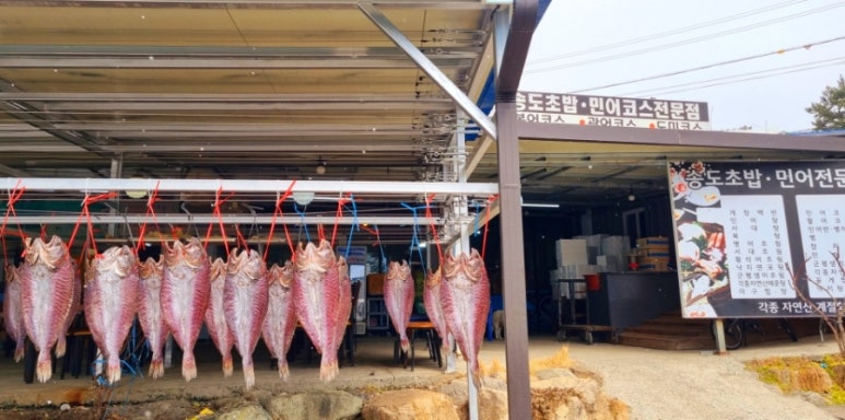 송도초밥민어코스 이미지