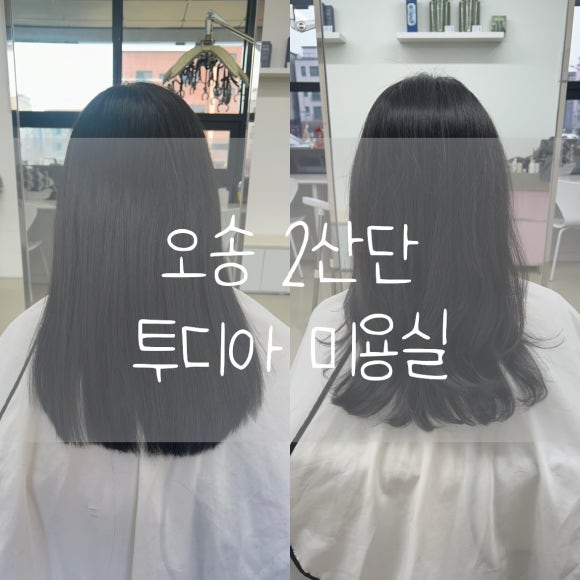투디아 이미지