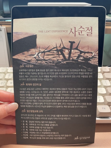 선영디자인 이미지