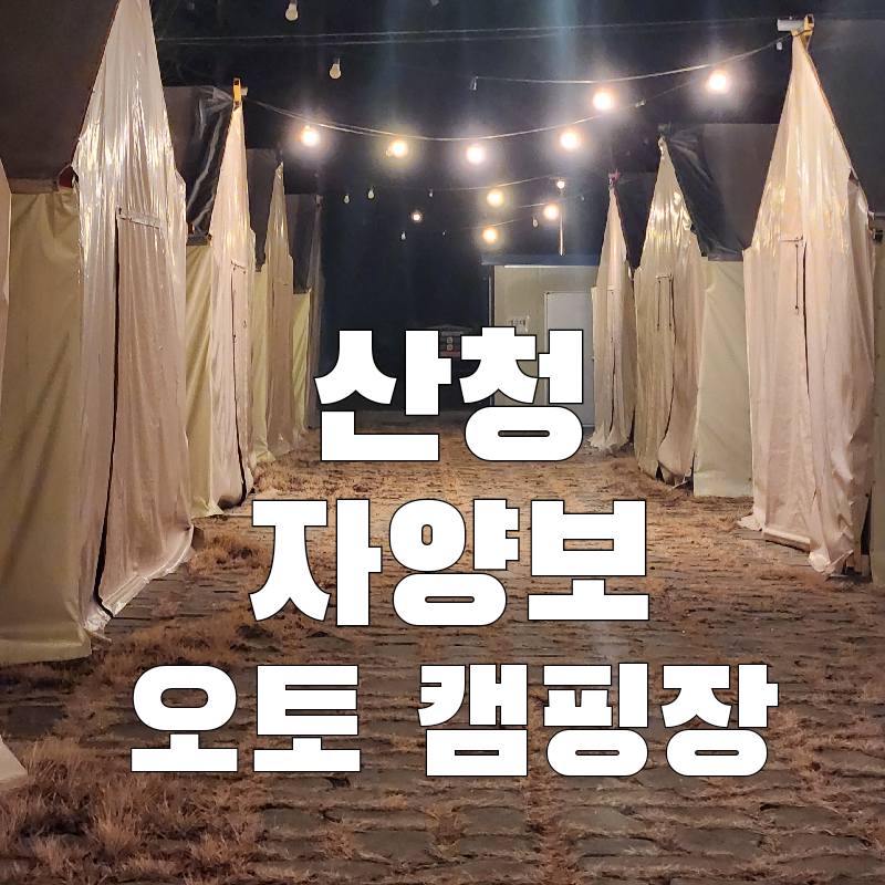 자양보 오토 캠핑장 이미지