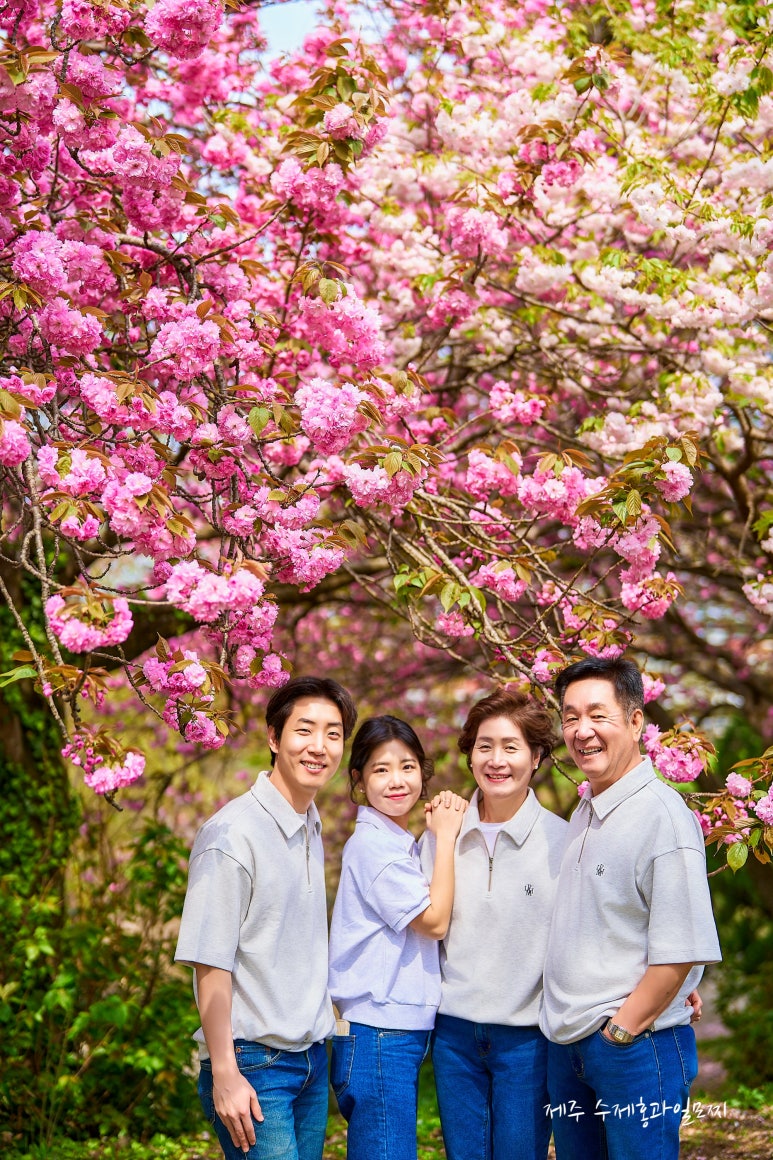 색놀이터제주 이미지