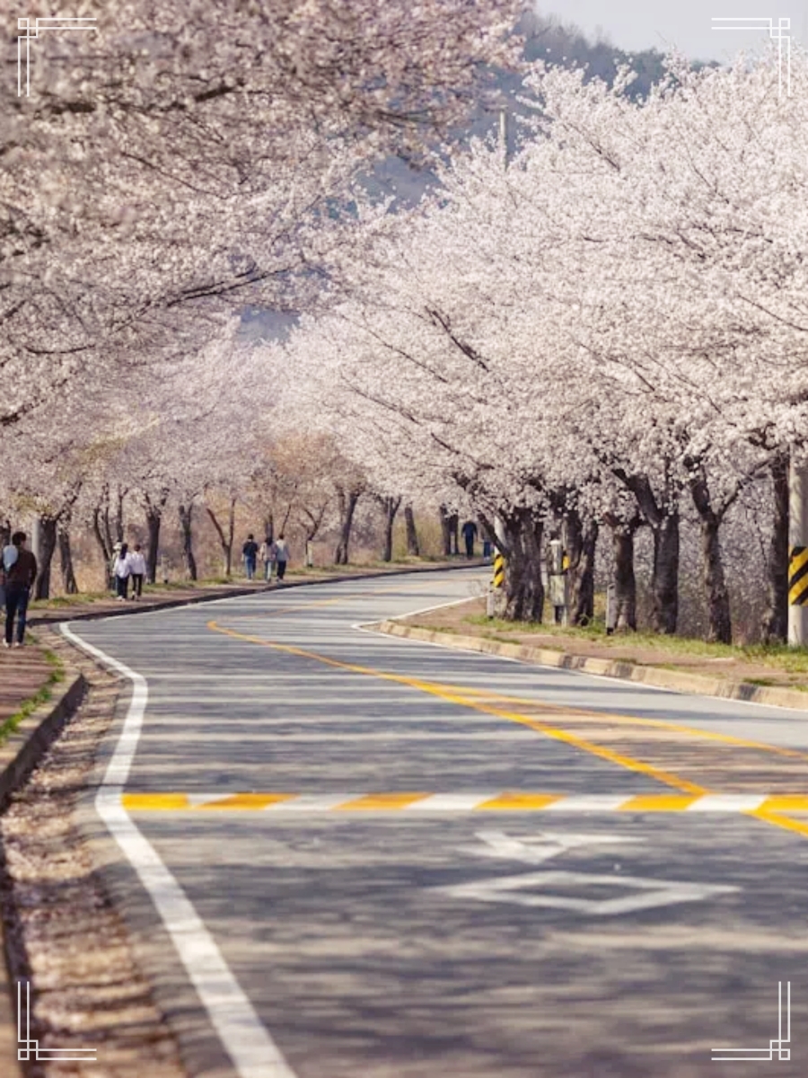 달라스치과의원 이미지