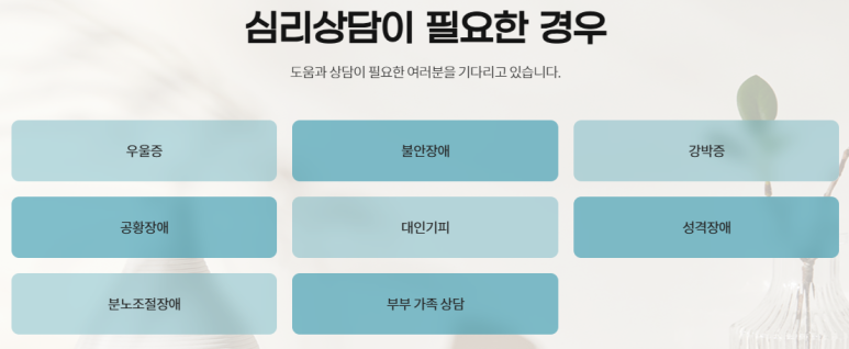 아이니스 이미지