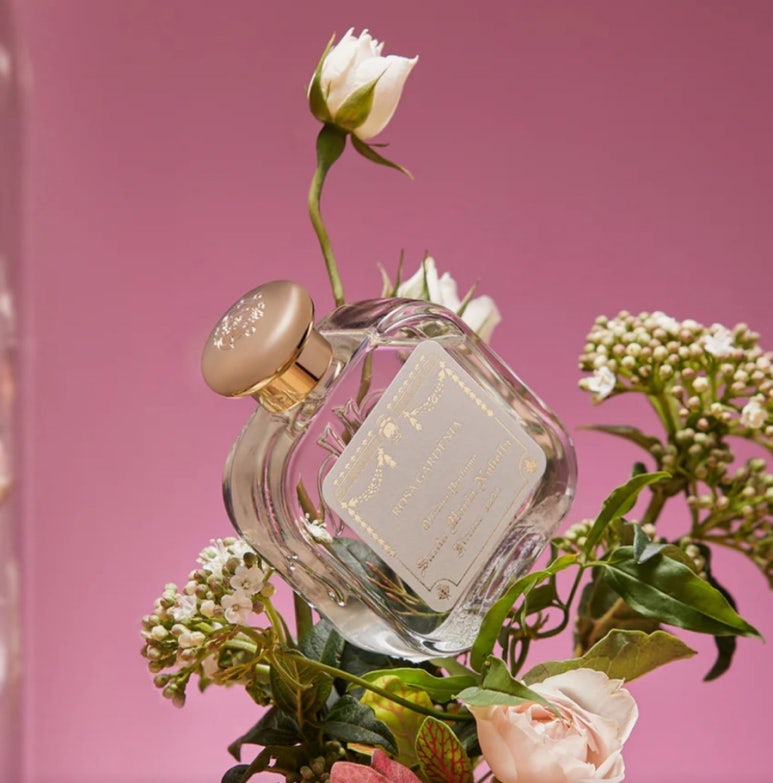 바닐라블라썸(Vanilla Blossom) 이미지