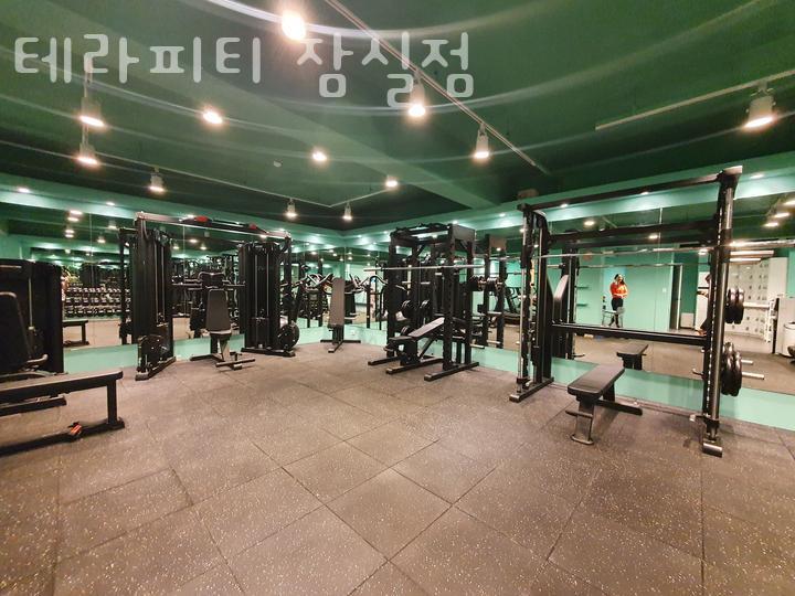 테라피티 이미지