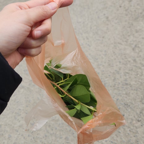 애림농원 이미지