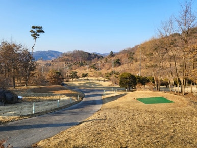 벨포레 푸드존 이미지