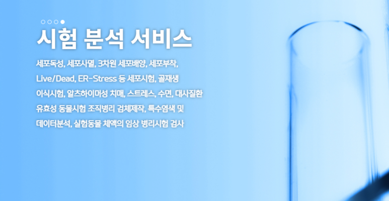 셀코 이미지