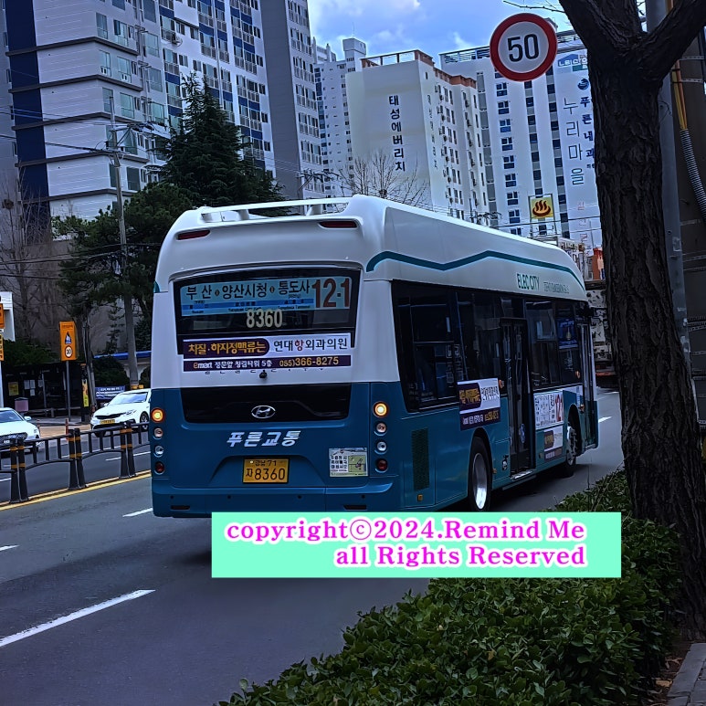 대동종합물류 이미지
