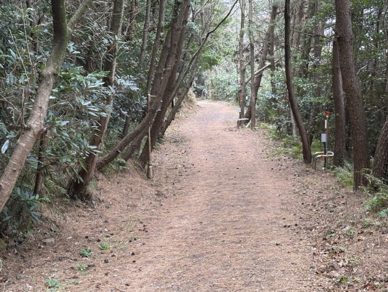정상에 다다르는 길 이미지