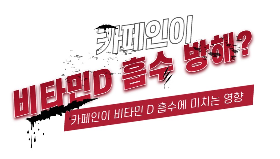 비타민여행사 이미지