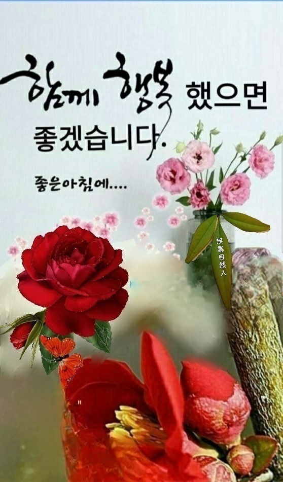 수지상사 이미지