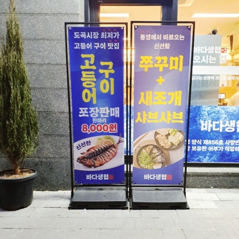 바다생협대광어강남 이미지