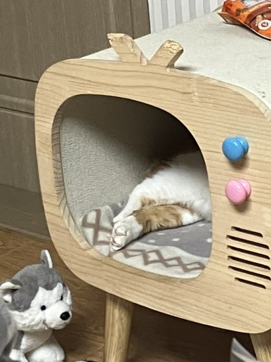 신철원통닭 이미지