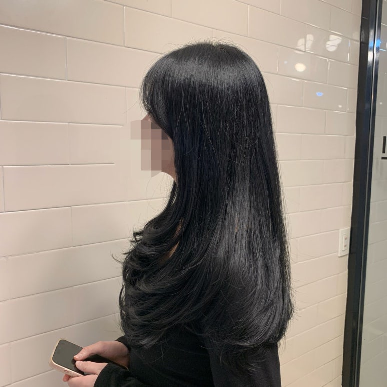 브린 이미지