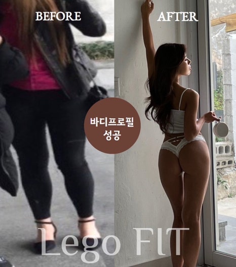 레고핏 이미지