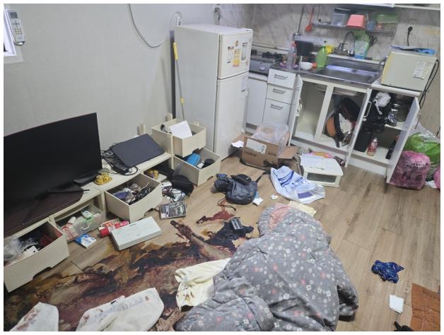 비포에프터클린 이미지
