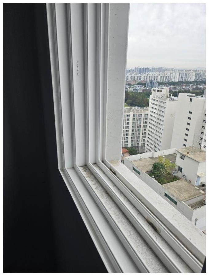 클린센스 이미지