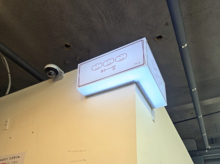 파앙 이미지