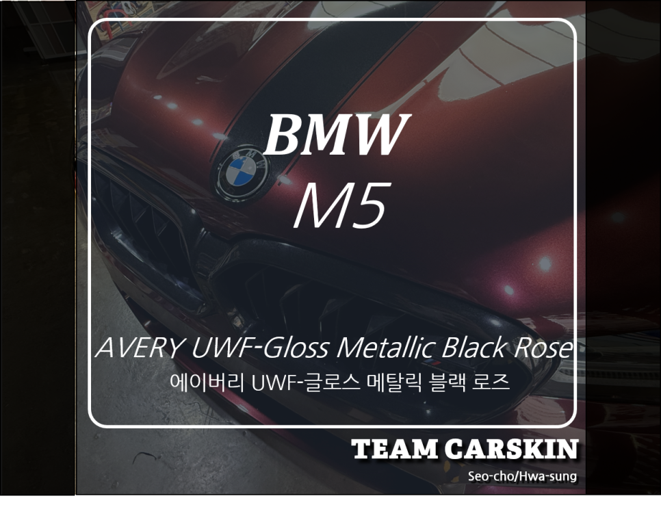 팀카스킨 이미지