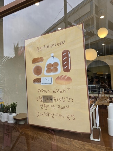 홋코리 이미지