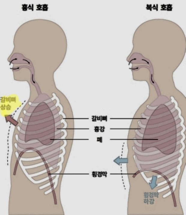 바른습관PT 이미지