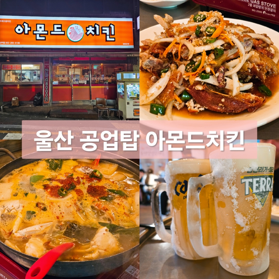 아몬드5000 이미지