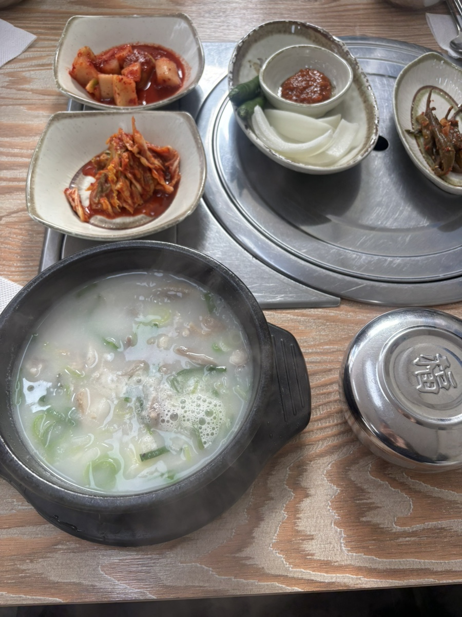 이박하 이미지