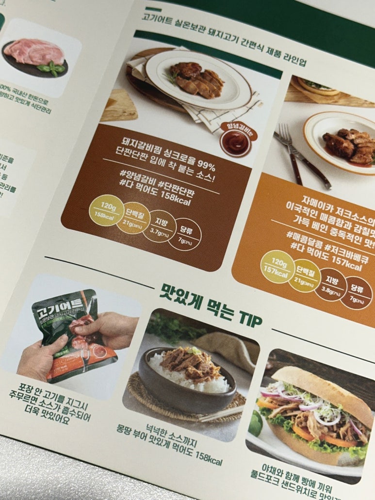 고기어트 이미지