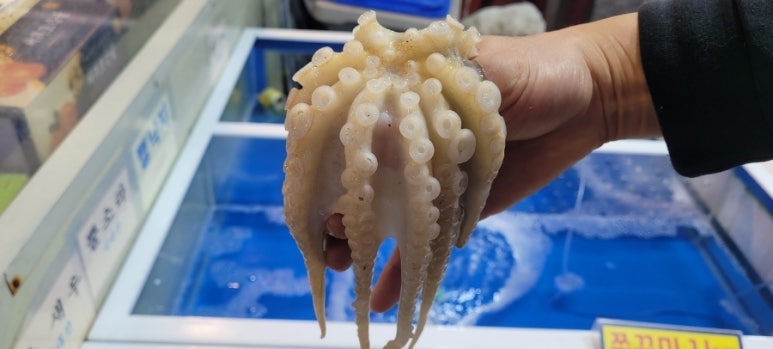 서희수산 이미지