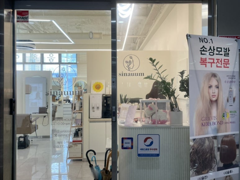 시나움 이미지