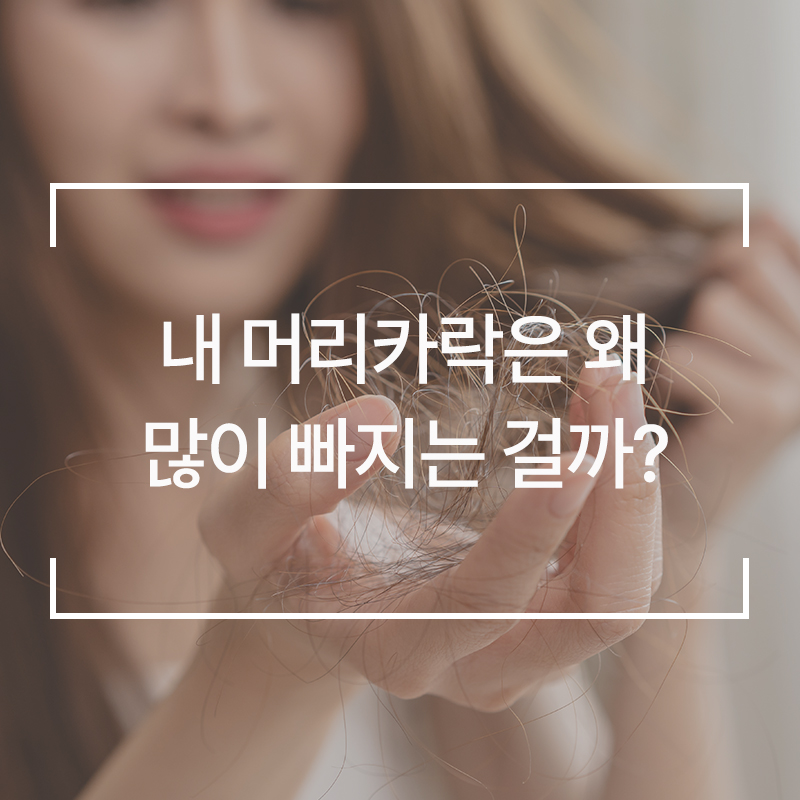 웰킨제주점 이미지