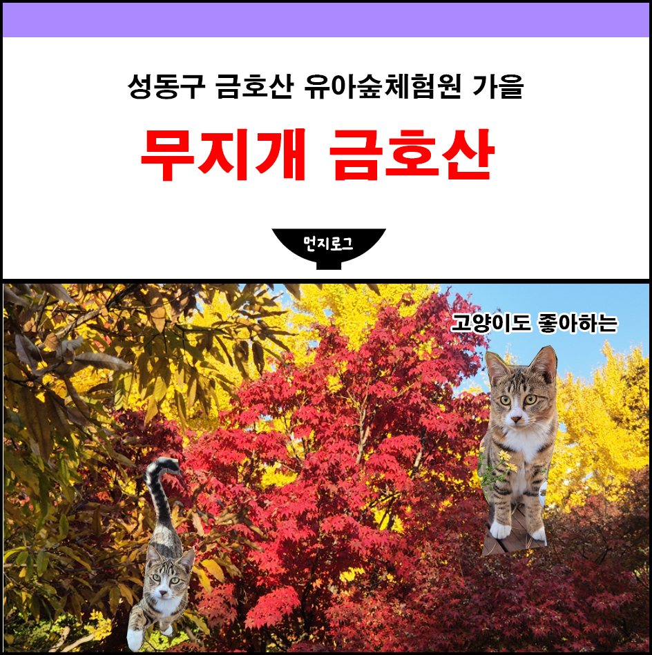 금호산 유아숲체험원 이미지