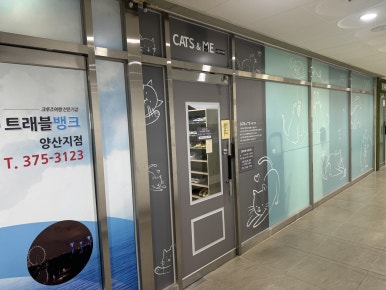 캣츠앤미 이미지