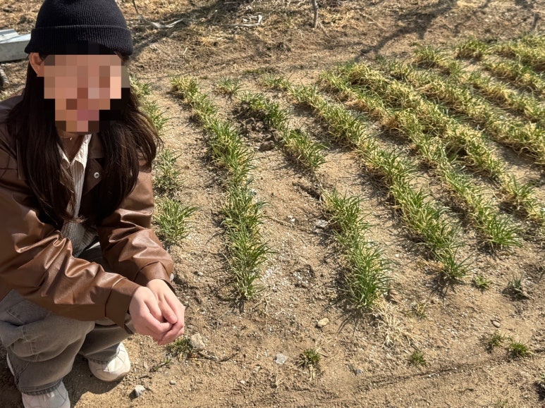 초도반점 이미지