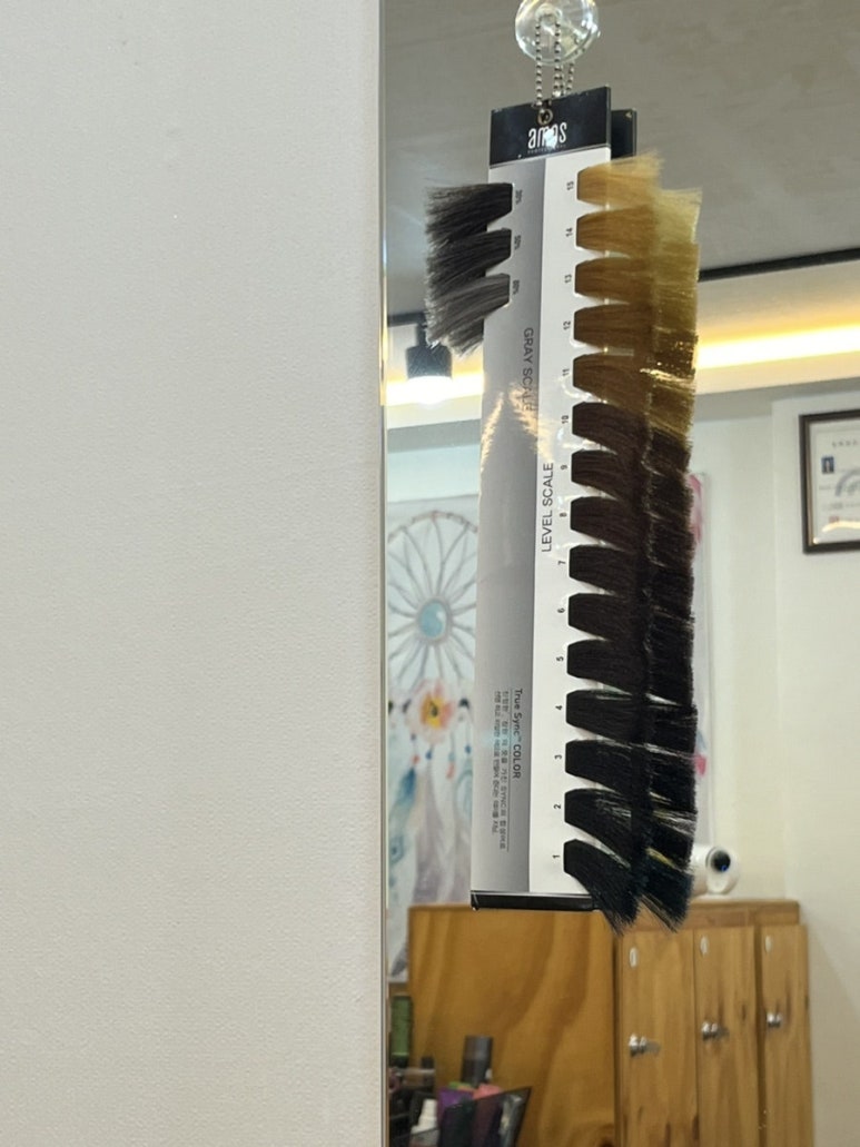 헤어스텔라 이미지