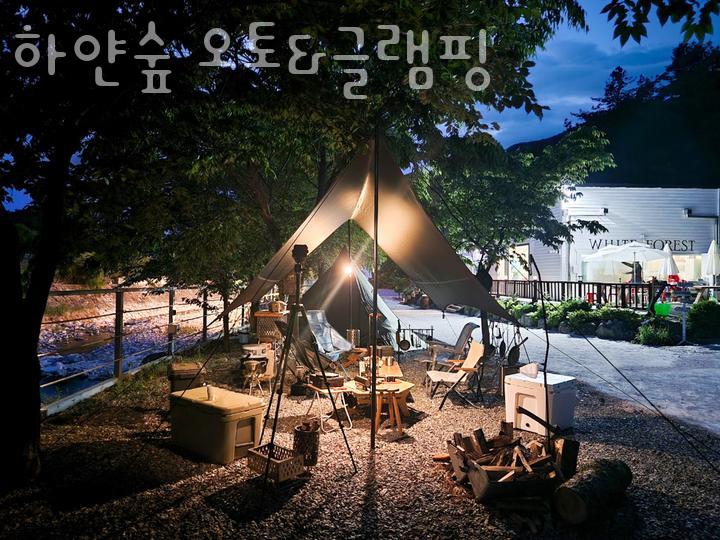 하얀숲오토&글램핑 이미지