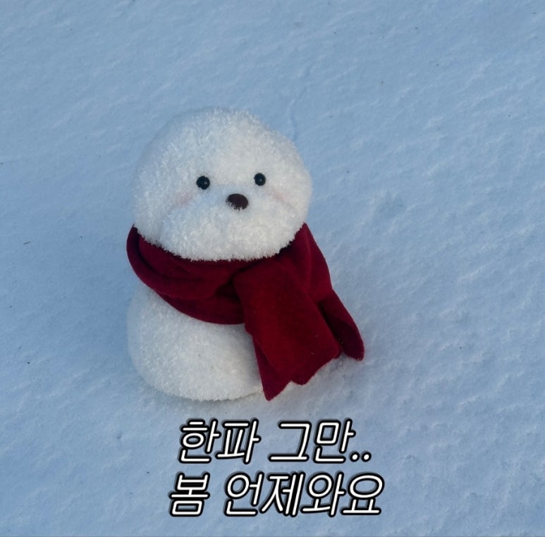 희플라워 이미지